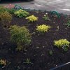 IMG_20180603_155801